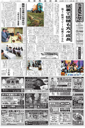 表紙画像
