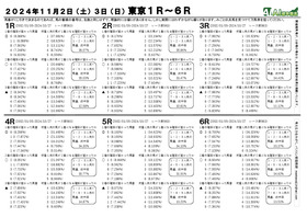 電子版