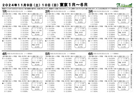 電子版