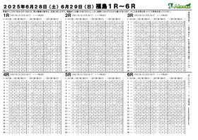 電子版