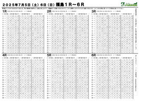 電子版