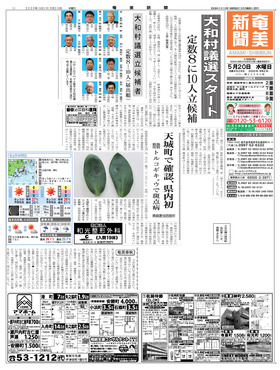 表紙画像