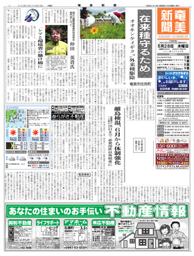 表紙画像
