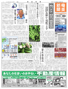 表紙画像