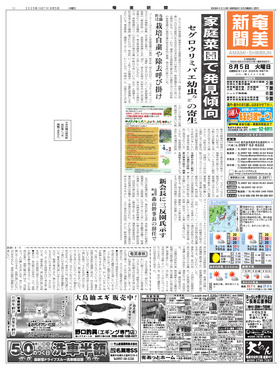 表紙画像