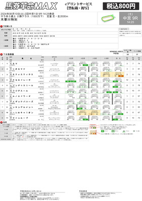 電子版