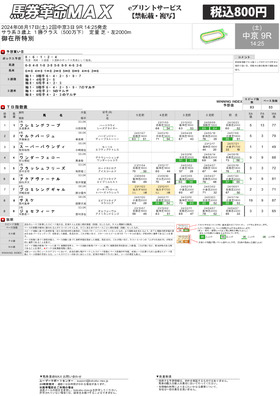 電子版