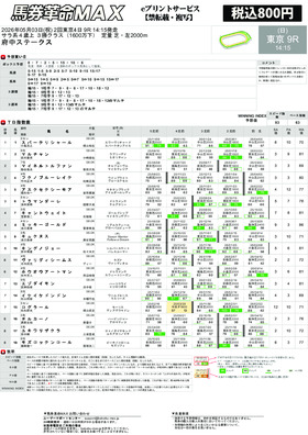 電子版