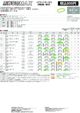 電子版
