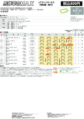 電子版