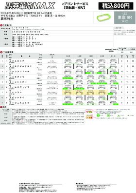 電子版