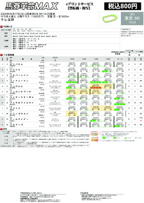 電子版