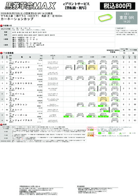 電子版