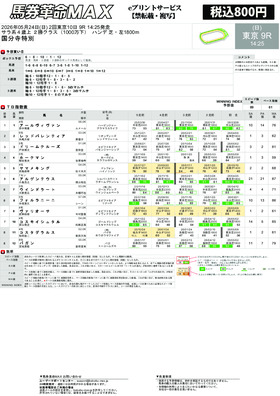 電子版