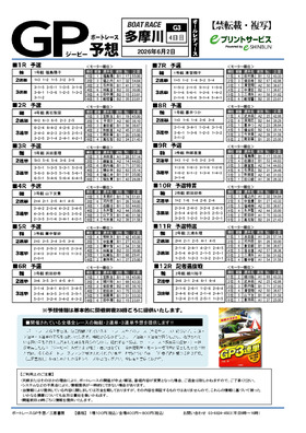 電子版