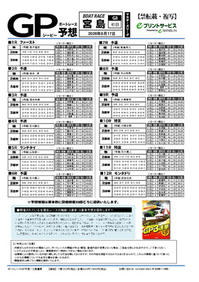 電子版