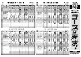 電子版