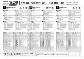 電子版