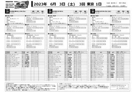 電子版