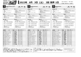電子版