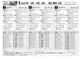 電子版
