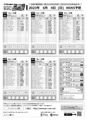 電子版
