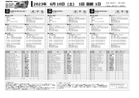 電子版