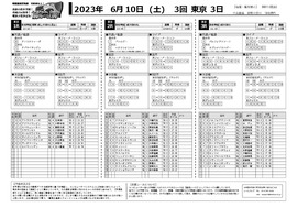 電子版