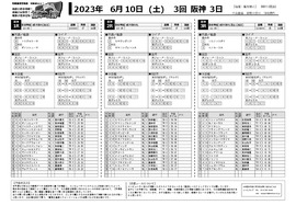 電子版