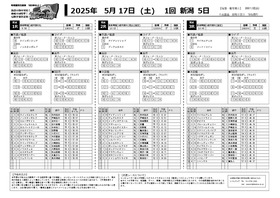 電子版