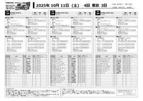 電子版