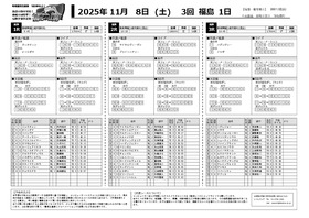電子版