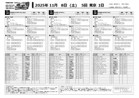 電子版