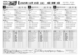 電子版