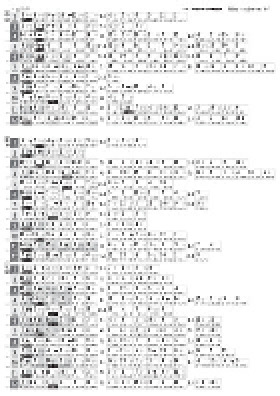 電子版