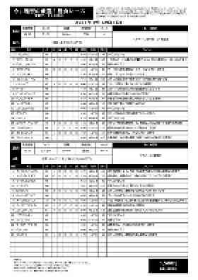 電子版