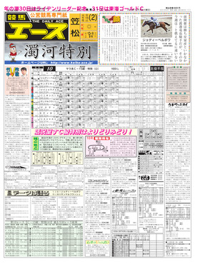電子版