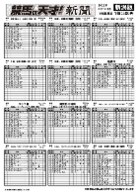 電子版