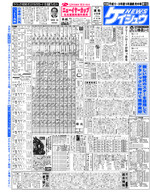 電子版