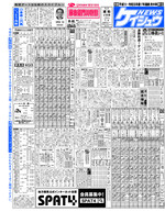 電子版