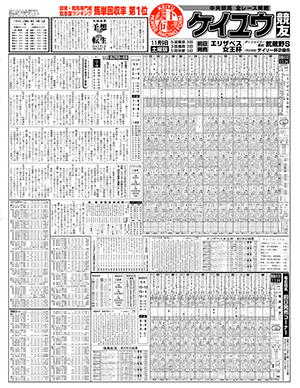 電子版