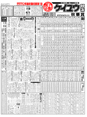 電子版