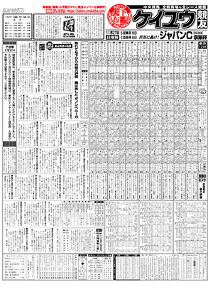 電子版