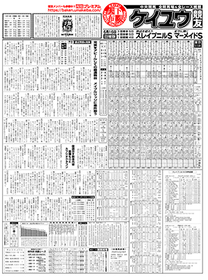 電子版