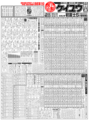 電子版