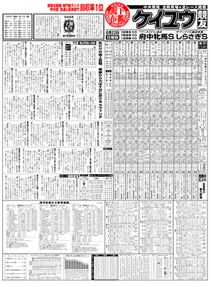 電子版