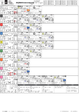 電子版
