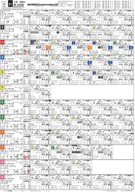 電子版