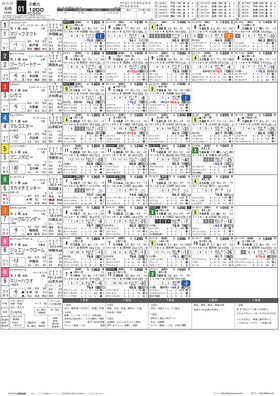 電子版