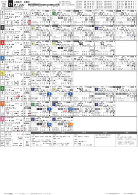 電子版